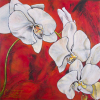 Paul-AndÃ© CÃ´tÃ© - Artiste Peintre : OrchidÃ©e du bouquet